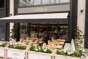 Outdoor terrace at Shiro Sushi, Broadgate Circle